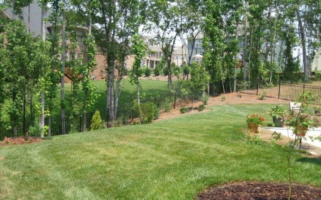 Fence Etiquette Tips Revealed